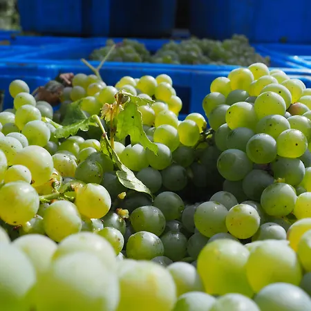 Gasthuis Casa De Sezim