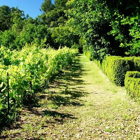 Gasthuis Casa De Sezim 4*