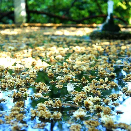 Casa De Sezim Guest house 4*