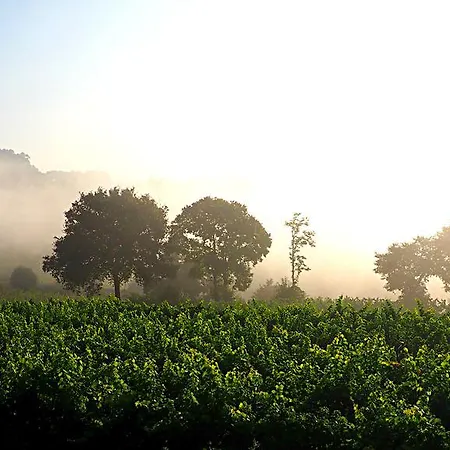 Casa De Sezim Pensionat Guimarães