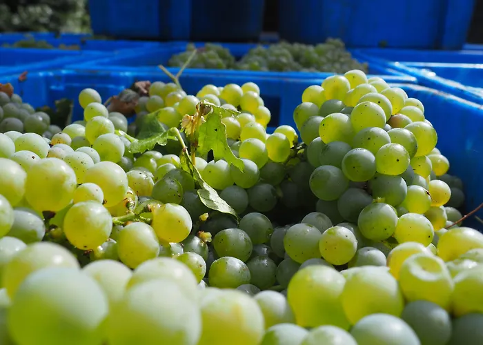 Гостевой дом Casa De Sezim