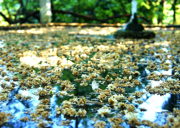 Casa De Sezim Casa de hóspedes 4*