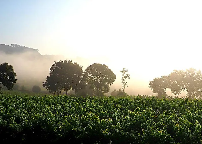 Casa De Sezim Casa de hóspedes Guimarães